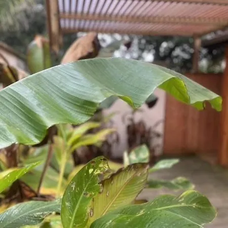 Villa La N°4 Lacanau